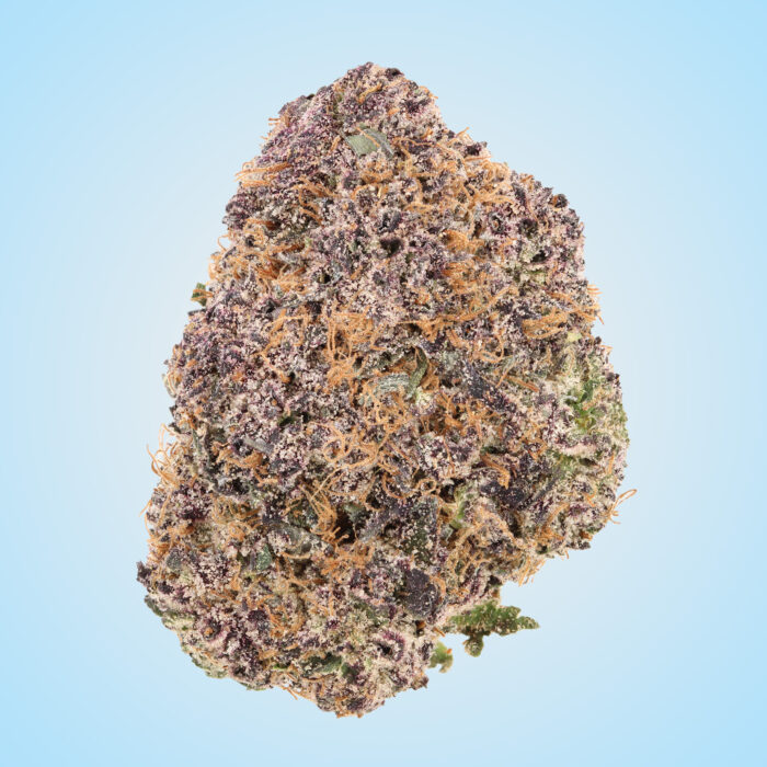 Gelato Pop