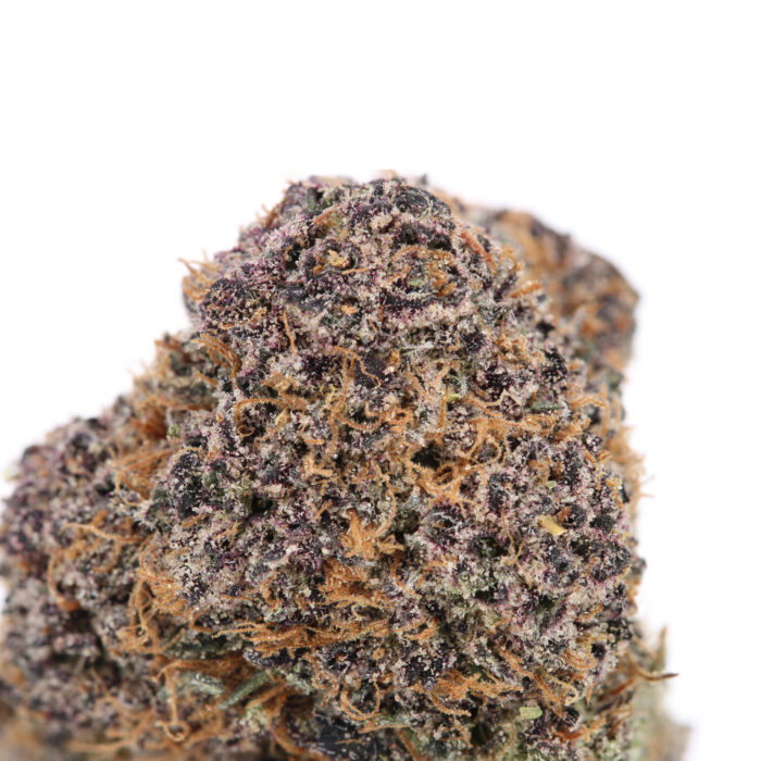 Gelato Pop - Image 2