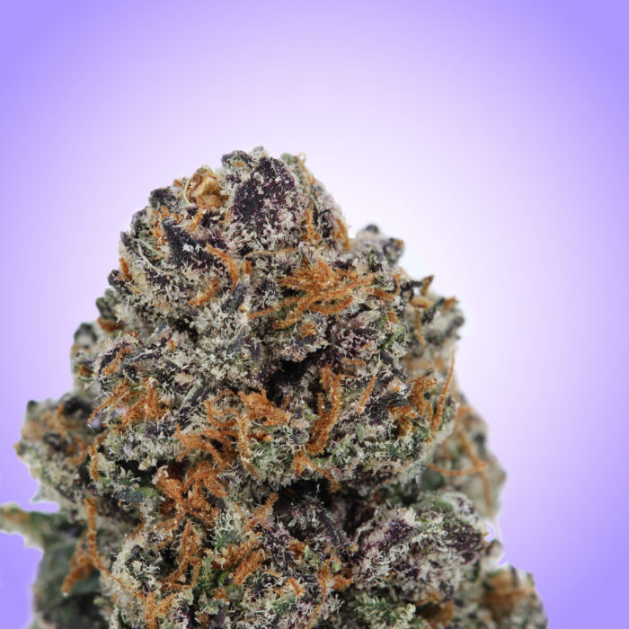 Grapefruit Zkittlez - Image 2