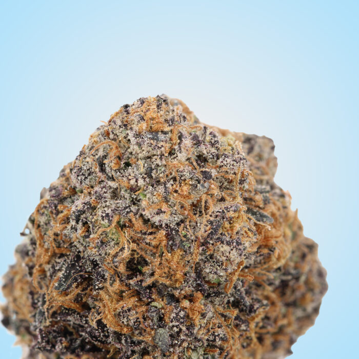 Mochi Zkittlez - Image 2